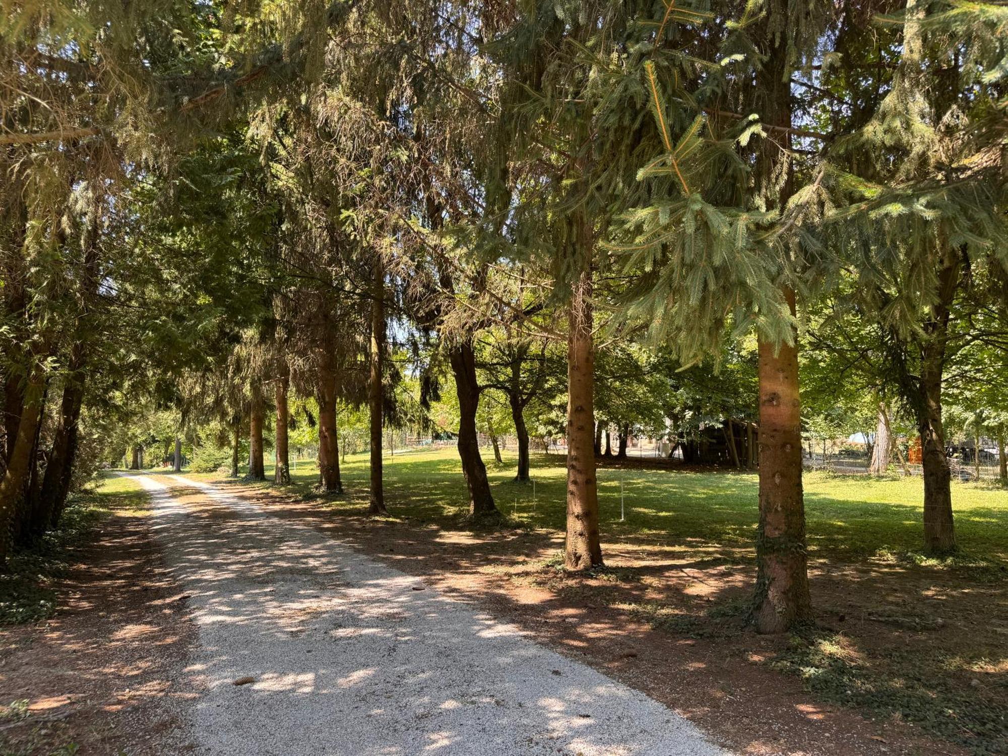 Fonfa Liget Ξενοδοχείο Sénye Εξωτερικό φωτογραφία